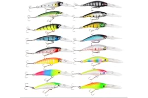 CHSEEO Kit di Esche da Pesca, 16Pcs Artificiale Pesca Richiamo Set Esche da Pesca Crankbaits Swimbait Cucchiaini da Pesca Attrezzatura di Pesca Esche Artificiali Perfetto per Pesca #2