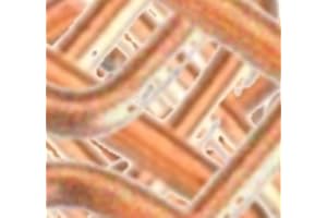 RUNADI PUTANGE - Lot de 2 x 10 = 20 détentes pour piège à Taupe de Type