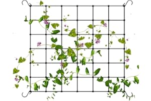 ‎RANJIMA Ranknetz, Scrog Netz 60x60 cm, Wachsen Zelt Netz, Grow Netz mit 4 Haken, Elastische Spalier Netz Pflanzennetz, Gemüseschutznetz, für Pflanzen,Gemüse,Obst,Garten,Balkone, Rankhilfen für Kletterpflanzen