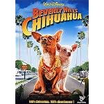 Beverly-Hills-chihuahua
