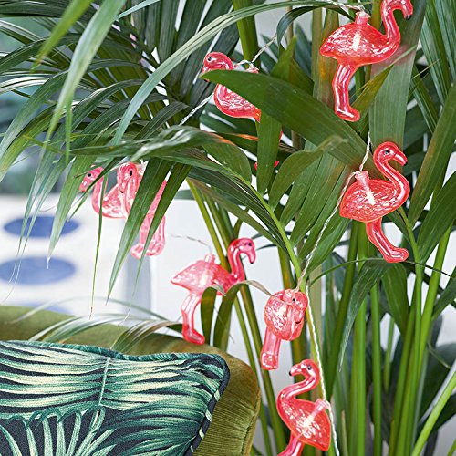 Talking Tables MIX-LIGHTS-FLAMINGO Fluoreszierend, 8 Lichter auf 1 m Länge, Pappe, mehrfarben, 3.69x 11.5 x 38 cm - 3