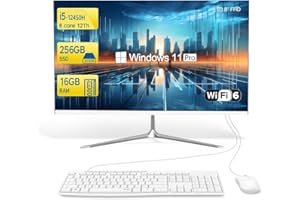 SZTPS Ordinateur de Bureau Tout-en-Un 60,5 cm, Processeur i5-12450H 8 Cœurs, 16 Go RAM, 256 Go SSD, Windows 11 Pro (Flat Panel)