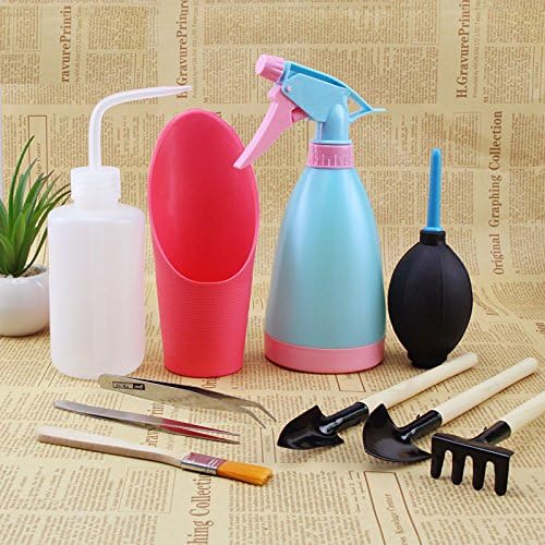 10pcs Garden Hand tools set, Perfect for Succulent Miniature Plants and Potted Plant, Include Mini-trowelăMini-cultivatorăMini-transplanterăSprayerăSharp Mouth Watering CanăSoil CupăAir-blowingăHairbrushăCurved and Straight Tweezers (10 Pieces Set)