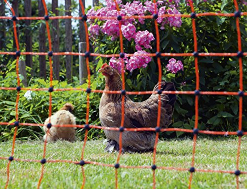 Kerbl Gefluegelnetz 50mtr., 112cm Doppelspitze Art. 292204 - 3