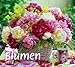 times & more Bildkalender Blumen 2012 by
