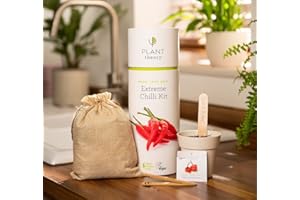 Plant Theory Grow Your Own Kit Gift Set & Vegan Compost 5 Biodegradable Pots & 100% Plastic Free 28cm (Chilli Kit)