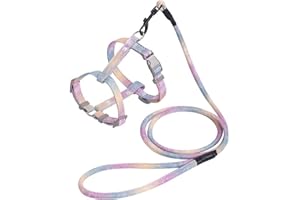 GWAWG Ensemble harnais et laisse pour chat – Harnais arc-en-ciel pour chaton, anti-fuite, sangle réglable pour promenade en plein air