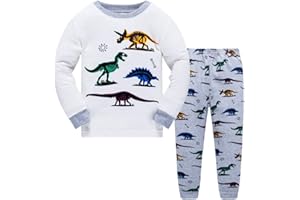 LitBud niños Pijamas Conjunto 100% algodón Dinosaurio Ropa de Dormir Pijamas Largos Pjs Conjunto tamaño para niños pequeños Reino Unido 1-7 años