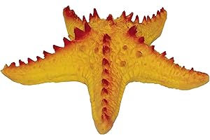 Rep Pals - Starfish, rozciągliwa zabawka od Deluxebase. Super rozciągliwe repliki zwierząt, które są prawdziwe, świetne dla dzieci