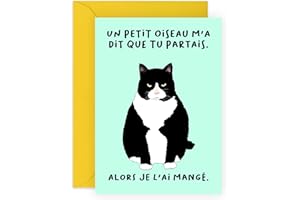 Central 23 Carte de départ Nouvelle travail pour femme - 'UN PETIT OISEAU M'A DIT QUE TU PARTAIS' - Carte d'adieu amusante pour homme - Motif chat - Cadeau humoristique pour ami, collègue