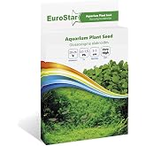 Eurostar Glossostigma Elatinoides Akvaryum Bitkisi Tohumu