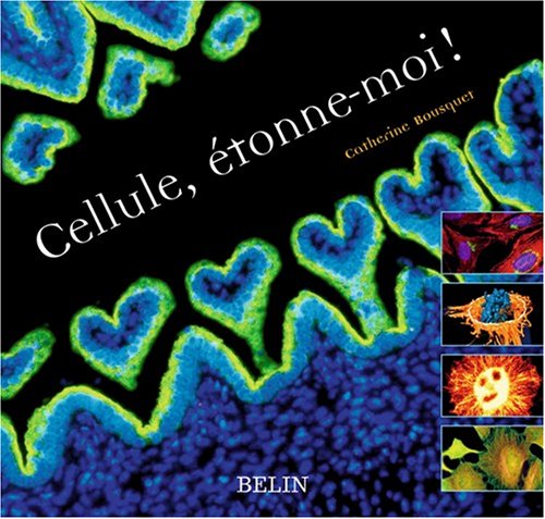 couverture de : Cellule, &eacute;tonne-moi !