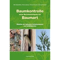 Verkehrssicherheit und Baumkontrolle: Der Praxisleitfaden zu den FLL-Baumkontrollrichtlinien : Institut für Baumpflege, Hamburg, Stobbe, Horst, Kowol, Thomas, Jaskula, Petra, Wilstermann, Dennis, Düsterdiek, Stefan, Wilm, Paul, Vogel, Timo, Baumgarten 