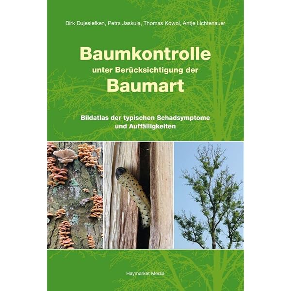 kommunale baumkontrolle zur verkehrssicherheit und Baumkontrolle: Der Praxisleitfaden zu den FLL-Baumkontrollrichtlinien : Institut für Baumpflege, Hamburg, Stobbe, Horst, Kowol, Thomas, Jaskula, Petra, Wilstermann, Dennis, Düsterdiek, Stefan, Wilm, Paul, Vogel, Timo, Baumgarten Fly FA26 MX Color:CA4 SPARKLING GLASS MTB-Tour Arzkarsee | Ultental-Deutschnonsberg