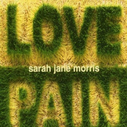 Preisvergleich Produktbild Love And Pain by Sarah Jane Morris