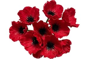 RIKYO 10 flores artificiales de 28 cm de tallo de flores de amapola,flores silvestres artificiales para mesa de cocina, jarrón de mesa de cocina, decoración de boda, telón de fondo de arco de pared (rojo)