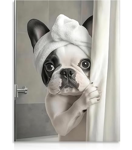 Dazzlewall Œuvre Murale Graffiti Drôle d'un Chien Jouant au Skateboard, Poster Coloré d'Image Animalière pour la Décoration de Chambre ou Pièce 30x40 cm Sans Cadre Dazzlewall Œuvre Murale Graffiti Drôle d'un Chien Jouant au Skateboard, Poster Coloré d'Image Animalière pour la Décoration de Chambre ou Pièce 30x40 cm Sans Cadre