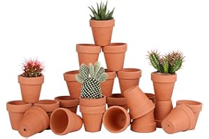 AWSUC Lot de 28 Pots de Fleurs,Petite Terre Cuite Pots avec Trou de Drainage pour l'intérieur, extérieur, Plante Jardin Balcon Décoration Mariage Fête Maison et Chambre 5.5cm