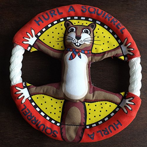 Cute-Pet-Dog-Frisbee-Puppy-Cat-Chew-Throw-Disc-Fun-Flyer-Training-Toys-Colorful-Red