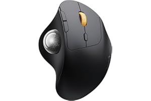 ProtoArc Mouse Trackball Wireless, EM04 Mouse Bluetooth & 2.4G Ergonomico Ricaricabile per Computer Portatile, Controllo Pollice e Connessione 3 Dispositivi - Silver Ball