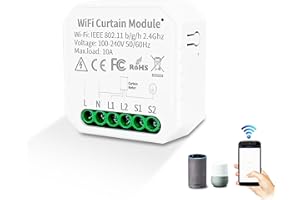 LEBENSFROH Interruptor de persiana inteligente Alexa WiFi Tuya WiFi para persianas, temporizador para motor de persiana, compatible con Alexa Google Assistant Smart Life App mando a distancia solo 2,4 GHz (1)