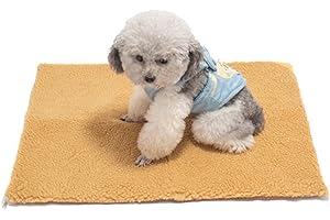 XoeLLe Katzendecke Selbstheizende Decke Katze & Hunde, 60x45cm Flauschig Heizdecke Wärmedecke Decke Katze Thermodecke für Katzen & Hunde Geräuschlos Waschbare Hundedecke Katzenkissen