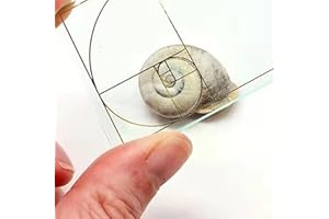 Ahuuen Golden Ratio Viewfinder | F-ibonacci Composition View Finder | Acrylic Proportional Divider | Golden Section Viewer | I-deal For Photographers & Artists | Compose Shot Perfectly