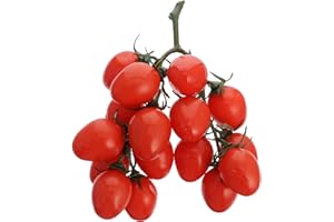 Cabilock Tomates Cherry Artificiales Tomate Falso Fruta de Plástico Comida Realista Fruta Realista Accesorios de Fotografía para Niños Decoración de Fiesta de Cocina