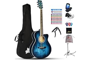 Winzz Guitare acoustique à cordes d'acier pour débutants, design de couleur unique élégant (bleu vintage)