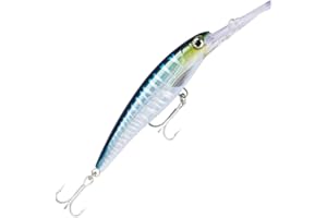 Rapala X-Rap Magnum 10 Lure