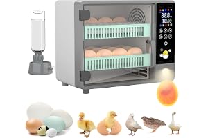 Quail Egg Incubator 24 Egg Incubator Full Automatic Touch Temperature Control Farm Large Capacity Quail Brooder Poultry Incubators, Also for Parrot, Dove, Canary and Other Birds