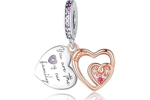 Rimgoris 925 Charm in argento sterling per donne Bracciali Collana Cuore Piercing Freccia Famiglia per sempre Lucido Simbolo eterno Cuore Lock&Key I LOVE YOU Campane Puzzle Piece Cuori Splittabile