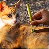 TİNEKE 2 Tick Remover Hooks for Pets That Are Effective and Easy to Use