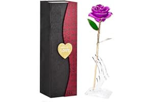 BESTYKS Valentinstag Ewige Rose,Eternal Rose,Die Schöne und das Biest,Rote Galaxie Rose Geschenke für Freundin Frau am Muttertag Geburtstag Valentinstag Jahrestag