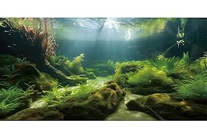 MIRRORANG 180x61cm Fondo de Acuario Submarino Hierba Marina Fondo de Plantas acuáticas río Cama y Lago Tanque de Peces Fondo Fondo de Vinilo