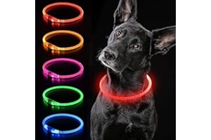 iTayga leuchthalsband Hund, USB-aufladbar und wasserdicht hundehalsband, verstellbare Länge, Sicherheitshalsband für Hunde und Katzen, 3 Modi, Rot
