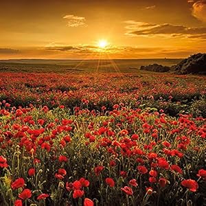 Sonnenuntergang 2016: Kalender 2016 (Artwork)