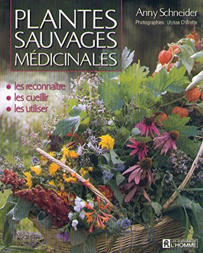 Livres gratuits à télécharger sur mon iPod PLANTES SAUVAGES MEDICINALES LES RECONNAITRE LES CUEILLIR LES UTILISER EPUB 2761914740 by author