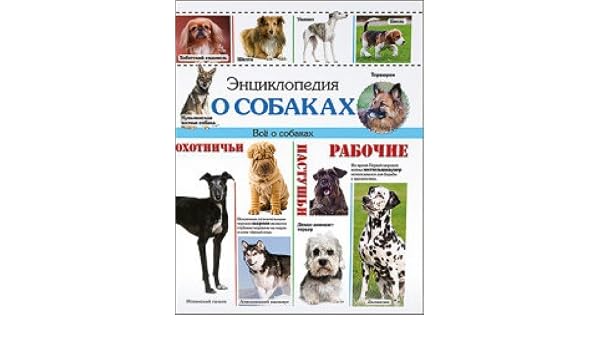 Книга проф-пресс энциклопедия о собаках (9785378185153)