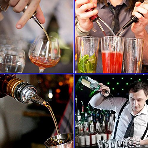 Flasche Ausgießer – Er kamhairaiog 10 Edelstahl-Likör ausgießtüllen Set für Wein-Likör Olivenöl Kaffee Sirup Essig Flaschen C - 5