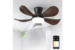 BLITZWILL Ventilatore da Soffitto con Luce, Ø66cm Ventilatori da soffitto con Illuminazione LED, Controllo App&Telecomando, 6 Velocità, 3 Colori Dimmerabile, 5 Pale, Silenzioso, Estate-Inverno,Timer