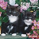 Katzen 2012 Broschürenkalender by Diverse