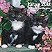 Katzen 2012 Broschürenkalender by Diverse