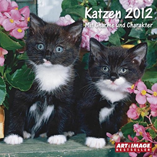 Katzen 2012 Broschürenkalender