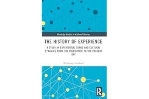 The History of Experience: A Study in Experiential Turns and Cultural Dynamics from the Paleolithic to the Present Day (Routledge Studies in Cultural History)