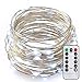 Produktbild Dlife 10M 100er LED Lichterkette 8 Modi Außenbeleuchtung Batteriebetrieben Kupferdraht Wasserdicht IP65 mit Fernbedienung für Outdoor, Innenbeleuchtung, Garten, Hochzeit, Party, Weihnacht (Kaltweiß)