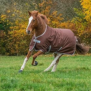 Bucas Freedom 300g (145 cm, Braun)