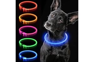 iTayga Collier Chien Lumineux, Collier LED pour Chien Rechargeable USB, Peut être coupé à n'importe Quelle Taille, Collier pour Chiens de sécurité pour Petits, Moyens et Grands Chiens.(Bleu)