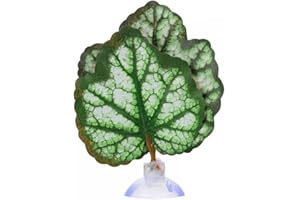 DONGKER Foglia Betta per Acquario,Letto Riposo per Acquari con Ventosa Amaca Pesci per Decorazione Serbatoio Pesce