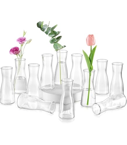 Provette Per Fiori In Vetro Con Ganci A S - 8 Pezzi 15x3cm, Per Decorazione Idroponica E Bouquet